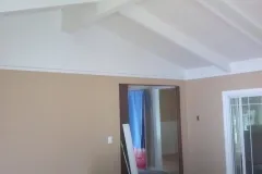 The-Paint-Butler-Columbus-Ohio-Interior-Painting-001